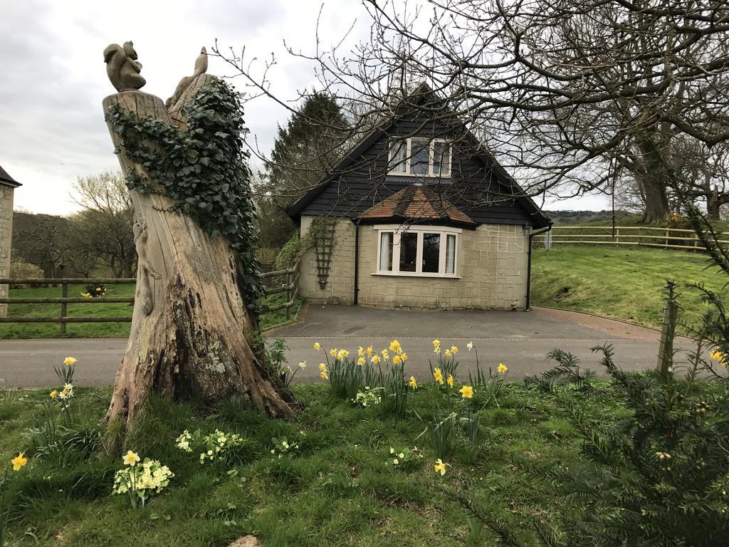 Godshill Park Cottages ภายนอก รูปภาพ
